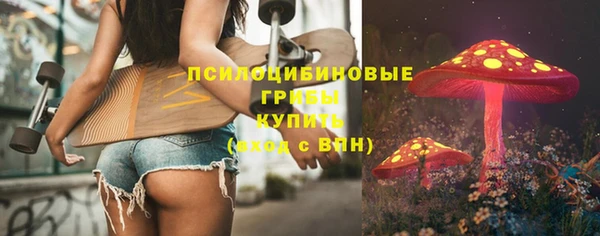 прущая мука Алзамай