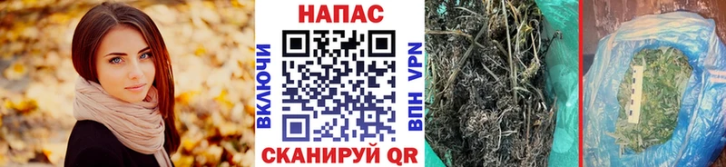 Конопля OG Kush Шуя